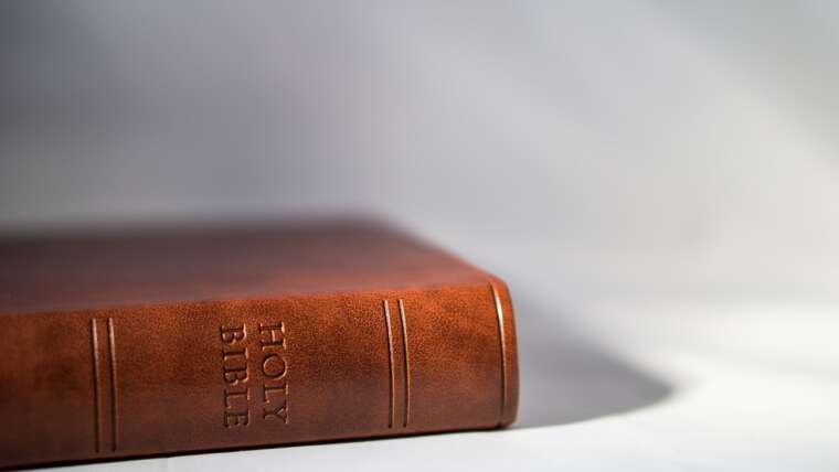 We Learn About Lord